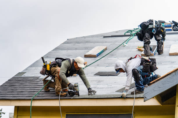 Professional Flat Roof Repair technician working in Port Richey, FL